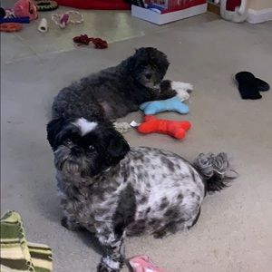 Meet your Posher, Margaret